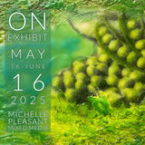 Michelle Pleasant Art Exhibition