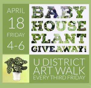 Baby House Plant Giveaway! UDistrict Art Walk - April 18th