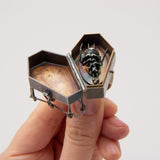 Lucas Pointon | Coffin Study