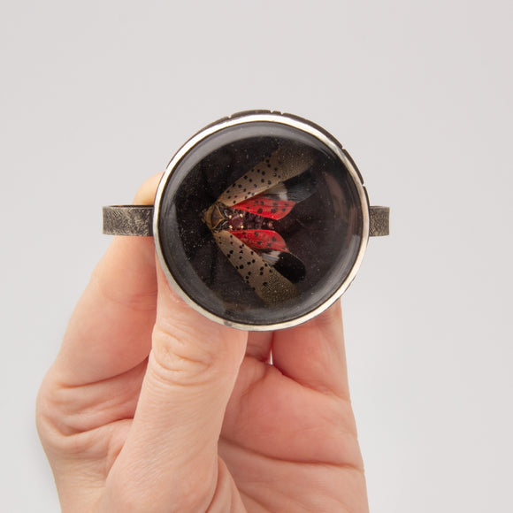 Sarah Sindler | Spotted Lanternfly