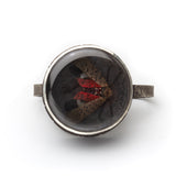 Sarah Sindler | Spotted Lanternfly