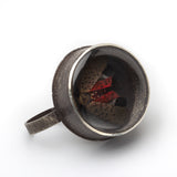 Sarah Sindler | Spotted Lanternfly