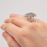 Or Shnirman | Ionic ring