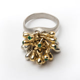 Dean Stith  | Golden Pom Pom