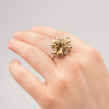 Dean Stith  | Golden Pom Pom