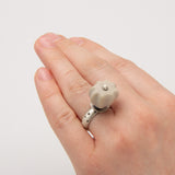 Susan Richter-O'Connell | This Poppy Rocks