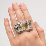 Debbie Jo Baxter | Carlsbad Banger