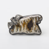 Debbie Jo Baxter | Carlsbad Banger