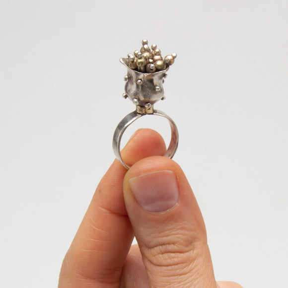 Alyssa Farber | Holy Grail