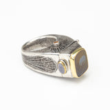 Eryn Rosenbaum | The Golden Hour