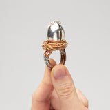 Danielle Giese | Which Came First?