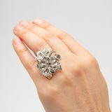 Sunny Ogle | Petal to The Metal