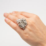 Sunny Ogle | Petal to The Metal