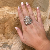 Sunny Ogle | Petal to The Metal