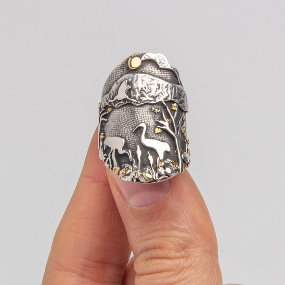 Kathy Anderson | Sandhill Cranes in the Valley