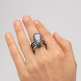 Robin Valentine | Danse Macabre