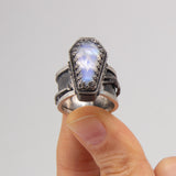 Robin Valentine | Danse Macabre