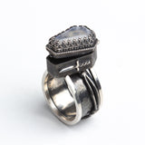 Robin Valentine | Danse Macabre