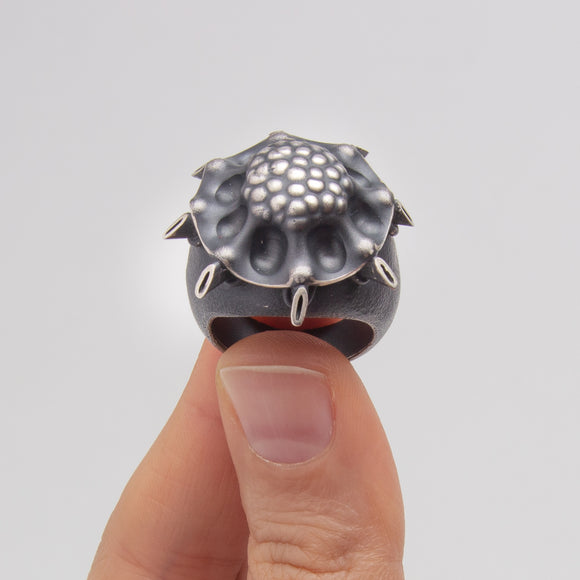 Rebecca Neely | Wintered Fortress