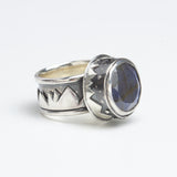 Carrie Aronson | Northern Spinner