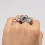 Tony Rodrigues | Raven