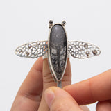 Ting Lu | Wing it!