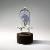 Jessica Tsai | Forget Me Not