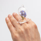 Jessica Tsai | Forget Me Not
