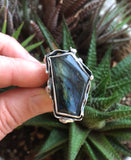 Jill Griffin - 22nd Year Anniversary Student Show