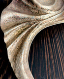 Lisa Geertsen | Dive Deep