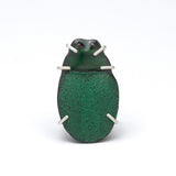 Jess Karpilo | Chrysophora chrysochlora