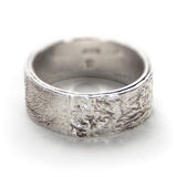 Silver Reticulation
