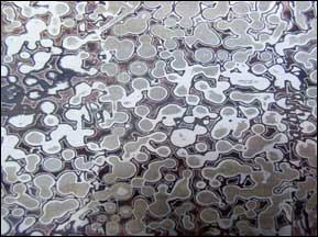 Mokume Sticker - Bubble