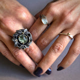 Naomi Zarch - What The Forest Reveals