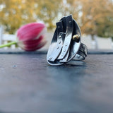 Shira Brown - The Phoenix