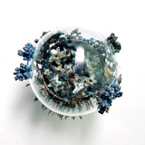 Surabhi Sahgal - Memory of a Lost Garden