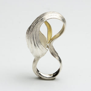 Andi Terry - A Study in Curves