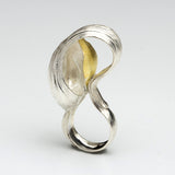 Andi Terry - A Study in Curves
