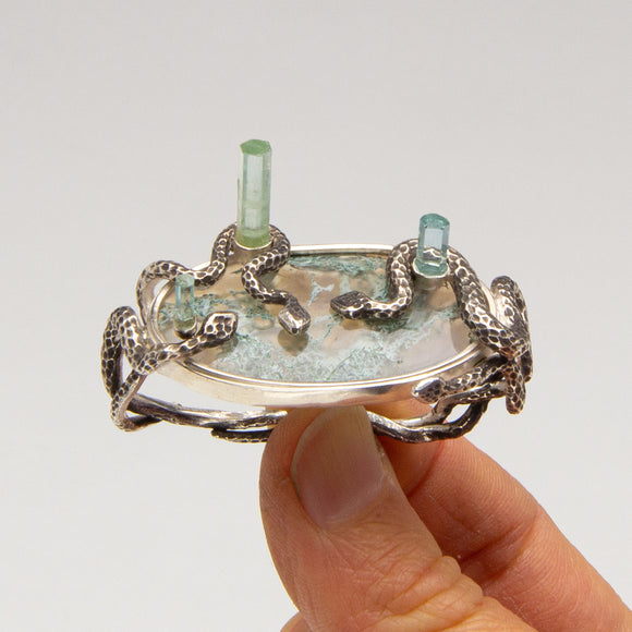 Taylor Koedyker - Serpents Rising