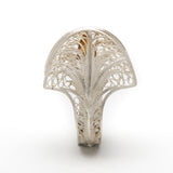 Andi	 Terry - Golden Teardrop Under a Canopy of Lace