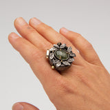 Naomi Zarch - What The Forest Reveals