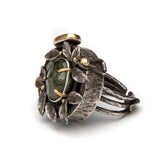 Naomi Zarch - What The Forest Reveals