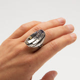 Shira Brown - The Phoenix