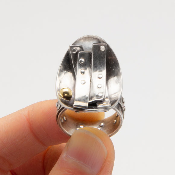 Shira Brown - The Phoenix