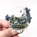 Surabhi Sahgal - Memory of a Lost Garden