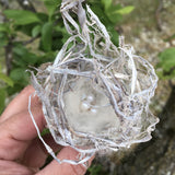 Tracy Welling - Don't Mess with My Nest!