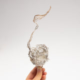 Tracy Welling - Don't Mess with My Nest!