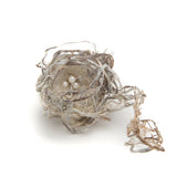 Tracy Welling - Don't Mess with My Nest!