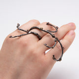 Lisa A Markowitz - Growth