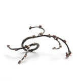 Lisa A Markowitz - Growth